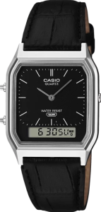 CASIO