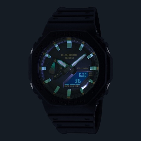 CASIO